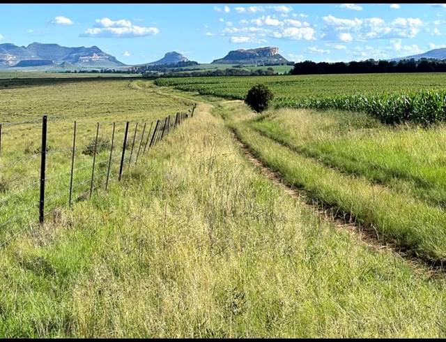 FARM FOR SALE IN BETHLEHEM RURAL